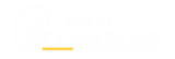 Tiago Claudino – Venda Mais